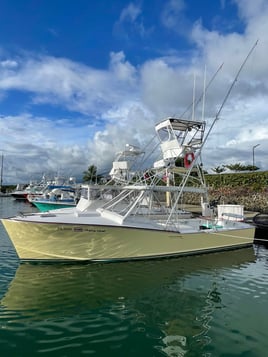 3/4 day sport fishing Quepos CR.