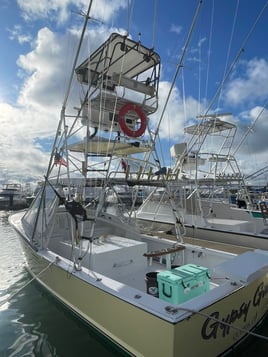 3/4 day sport fishing Quepos CR.