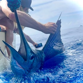 3/4 day sport fishing Quepos CR.