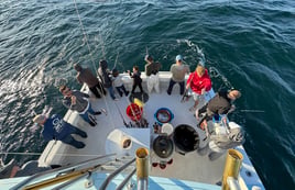 Trolling Quick Trips