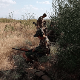 3-Days of Dove Destruction!