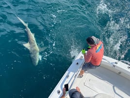 Shark Fishing Charter