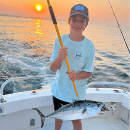 Captain’s Choice: Troll + Shark