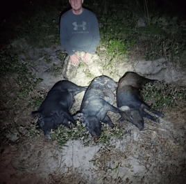 Night Vision Hog Hunts