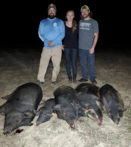 Night Vision Hog Hunts