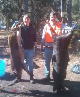 101-130 lb HOG