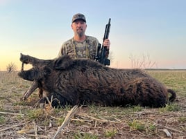 3-Day Hog Hunt with Lodging