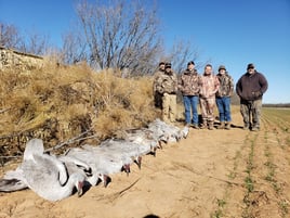 2 Day+ Sandhill Crane with Lodging