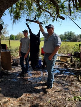 Wild Boar Hunting Adventure