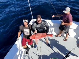 Orange Beach Bottomfishing Bonanza