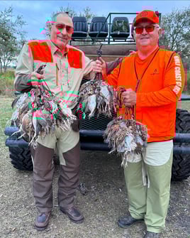 Bobwhite Quail Hunting Adventure
