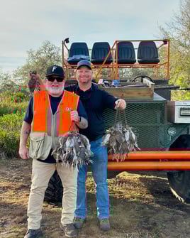 Bobwhite Quail Hunting Adventure
