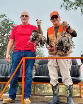 Bobwhite Quail Hunting Adventure