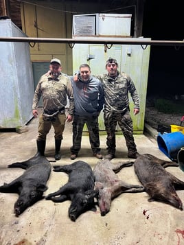 Wild Hog Whack- with Lodging