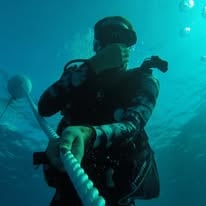 Lobster Diving Miami