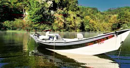 Half Day Guided Wade In Fly Fishing