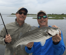 Full Day NYC Charter