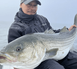 Full Day NYC Charter