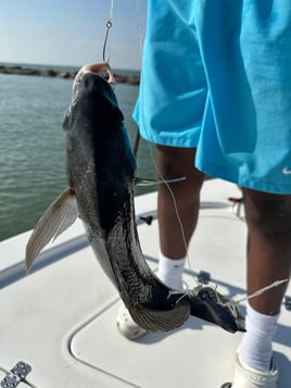 Rockport Nearshore/Offshore