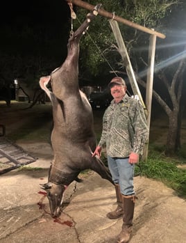 South Texas Nilgai Hunts