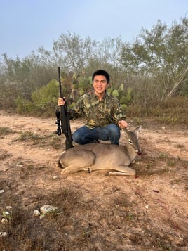 South Texas Nilgai Hunts