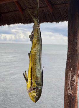 TULUM FISHING PREMIUM ADVENTURE
