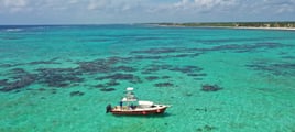 TULUM FISHING PREMIUM ADVENTURE