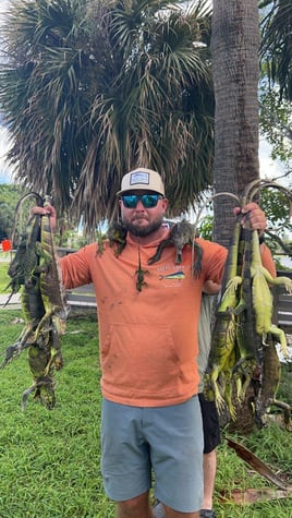 Iguana Hunts Delray Beach