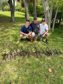 Iguana Hunts Delray Beach