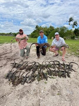 Iguana Hunts Delray Beach