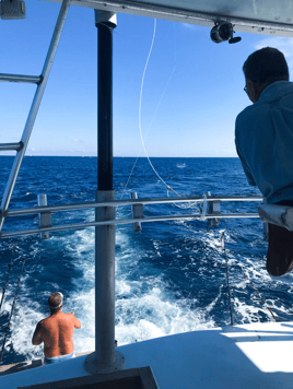 Half Day Nearshore (AM)