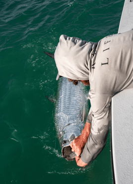 Fort Myers/Sanibel Fishing Trip