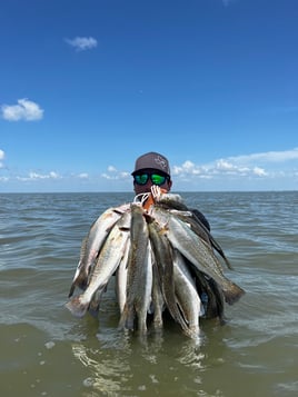 Wade Fishing Galveston Bay