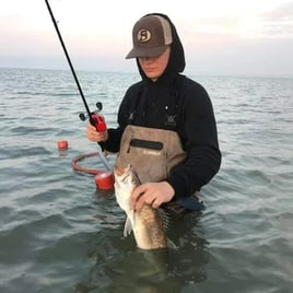 Wade Fishing Galveston Bay