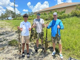 Iguana Hunting Veteran Guides