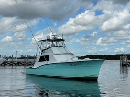 Full Day Off Shore Deep Sea Fishing