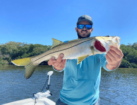 Grouper and Snapper trips