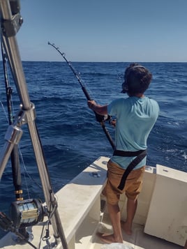 Banderas Bay Quick Action!