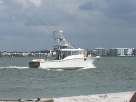 Clearwater Fishing Thriller!