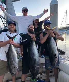 Coastal Banks Thriller