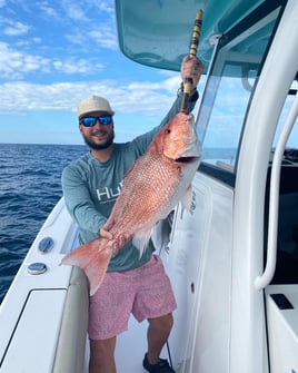 Federally Permitted 31’ Sportsman