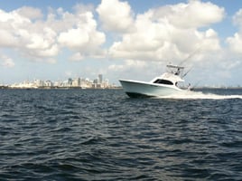 Marvelous Miami Fishing Experience