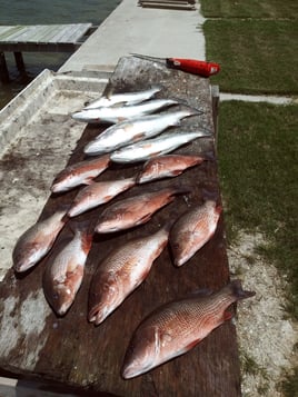 Rockport Redfishing