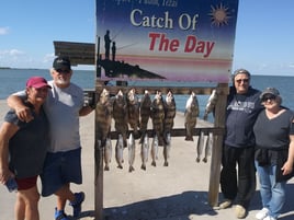 Rockport Airboat Redfishing!