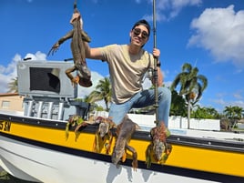 Iguana Blowgun Thriller!