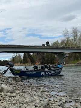 Kenai & Kasilof King Salmon Trip