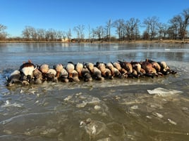 Texas Waterfowl Whack- w/ Lodging