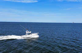 5 or 6 Hour Bottom/Trolling Trip