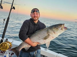 Striper Extravaganza!