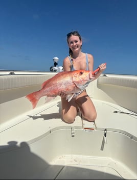 Offshore Fishing 🎣